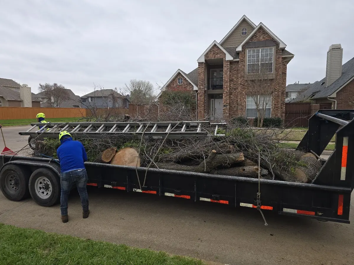 Expert Crown Reduction with proper safety equipment in Saddle River